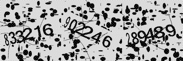 Please enable image downloads in your browser.