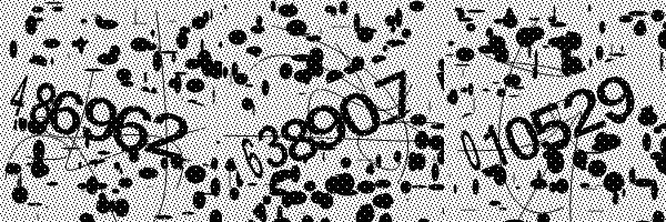 Please enable image downloads in your browser.