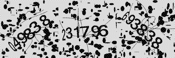 Please enable image downloads in your browser.