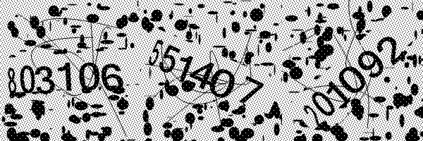 Please enable image downloads in your browser.