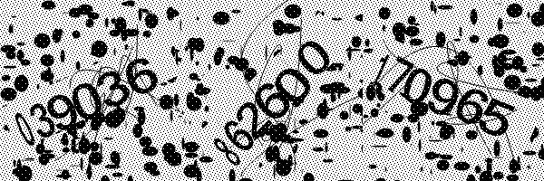 Необходимо включить загрузку картинок в браузере.